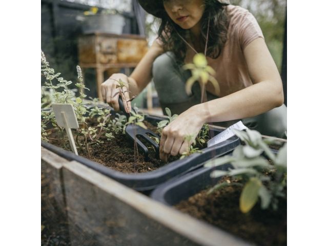 Изображение 5 Культиватор садовый Solid FISKARS(1072102/1001600)