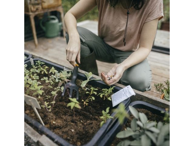 Изображение 4 Культиватор садовый Solid FISKARS(1072102/1001600)