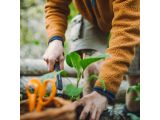 Смотреть изображение 9 Совок Xact  FISKARS