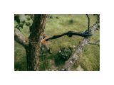 Смотреть изображение 5 Насадка-сучкорез OneClick FISKARS