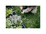 Смотреть изображение 5 Корнеудалитель OneClick FISKARS