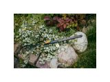 Смотреть изображение 6 Рукоятка малая деревянная S 40см OneClick FISKARS