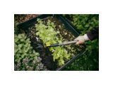 Смотреть изображение 5 Рукоятка малая деревянная S 40см OneClick FISKARS