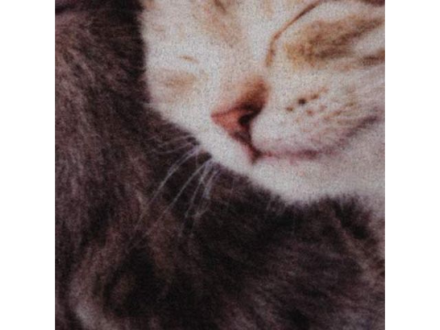 Изображение 4 Коврик влаговпитывающий "Samba" 50*80 см. "Милота", котята, "VORTEX"