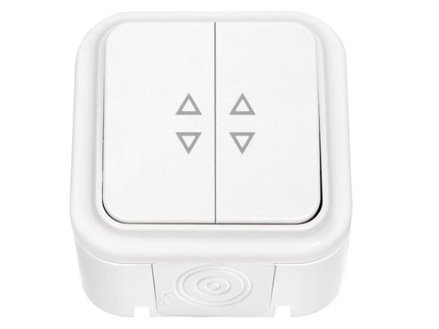 Выключатель 2 клав. (открытый, 10А, брызг. защ.) белый, Пралеска Аква, BYLECTRICA